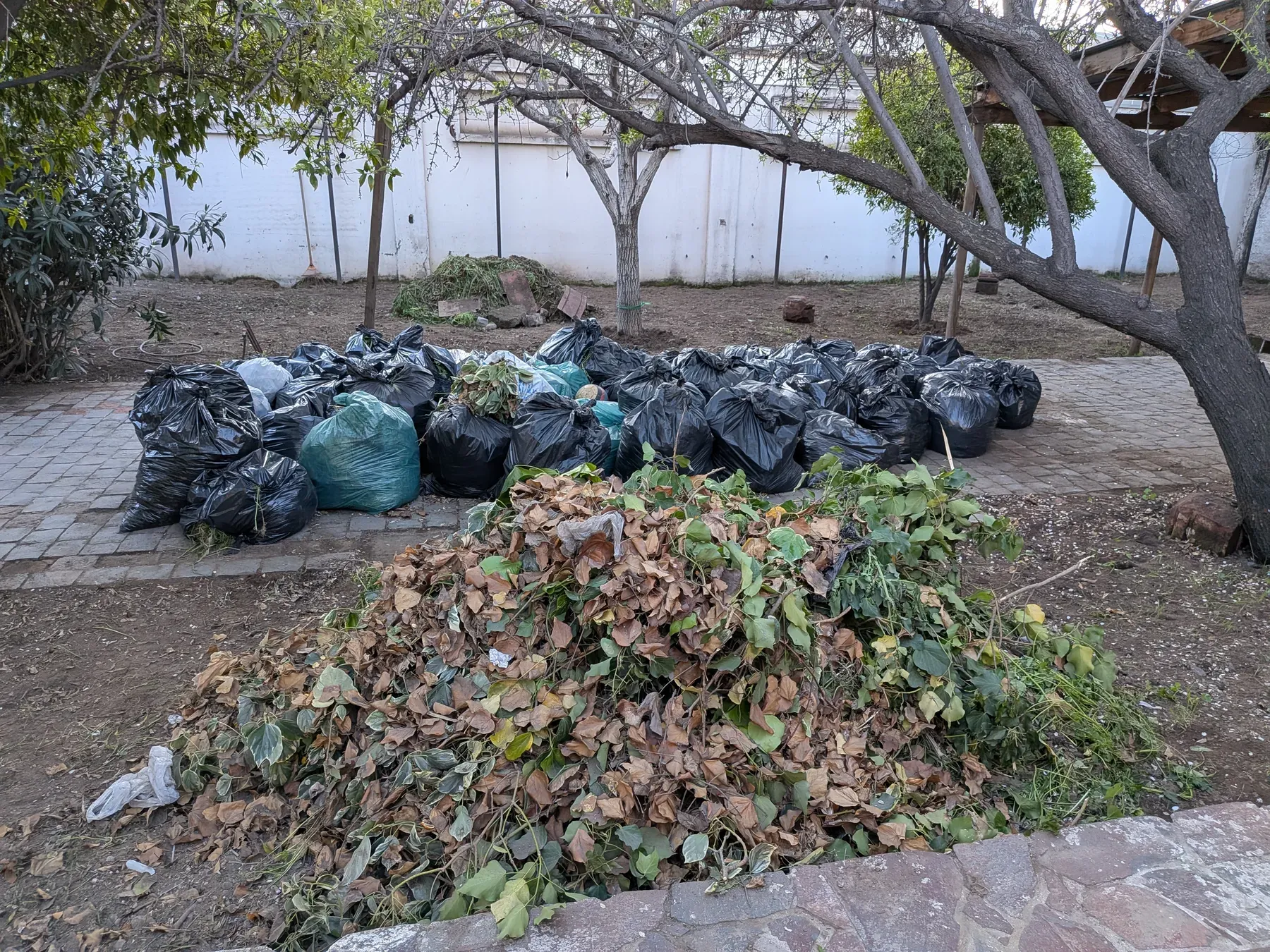 Bolsas de escombros y un montón de restos de poda acopiados en el patio, listos para retirar